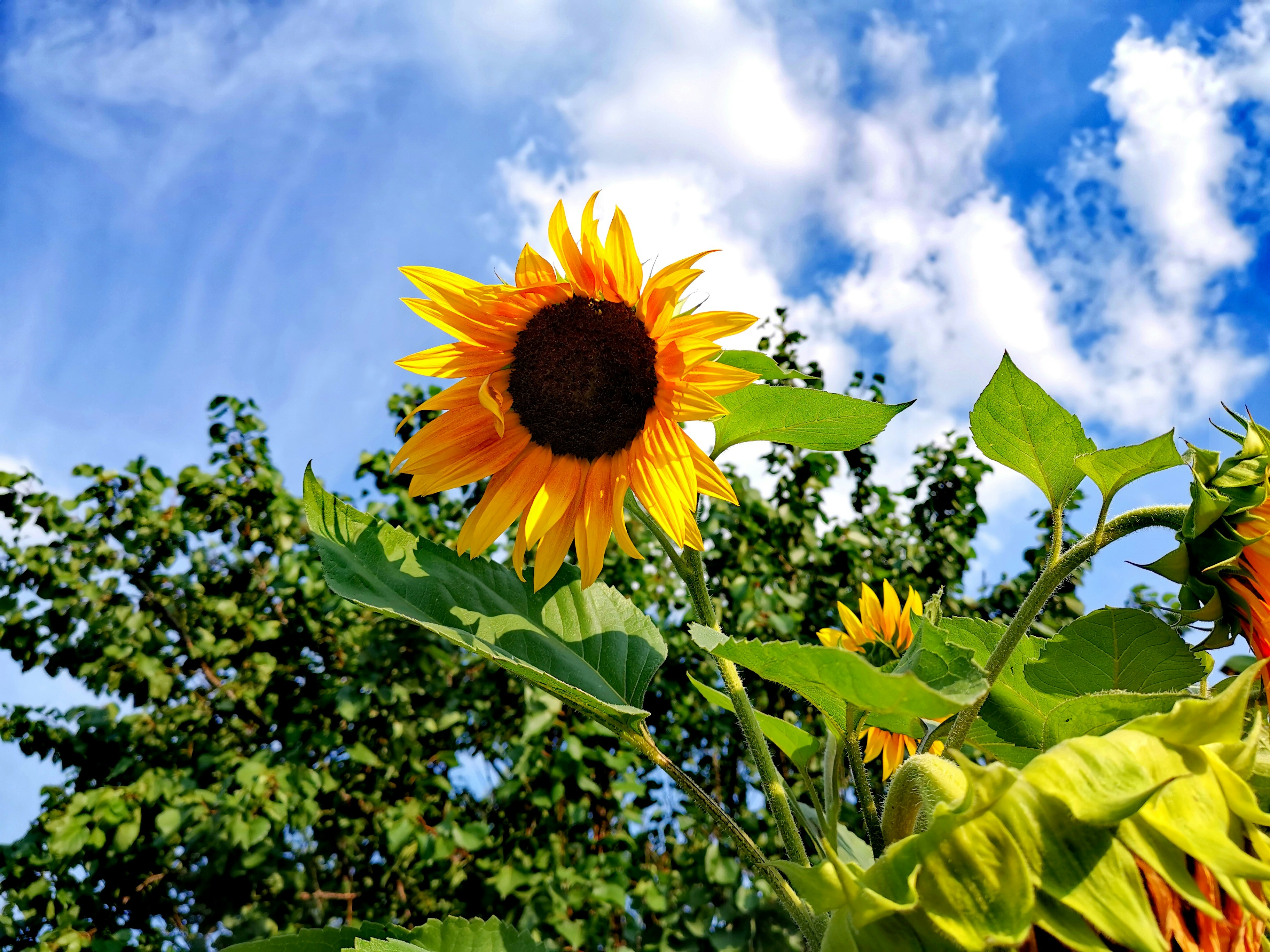 Photo by andy_novakovic