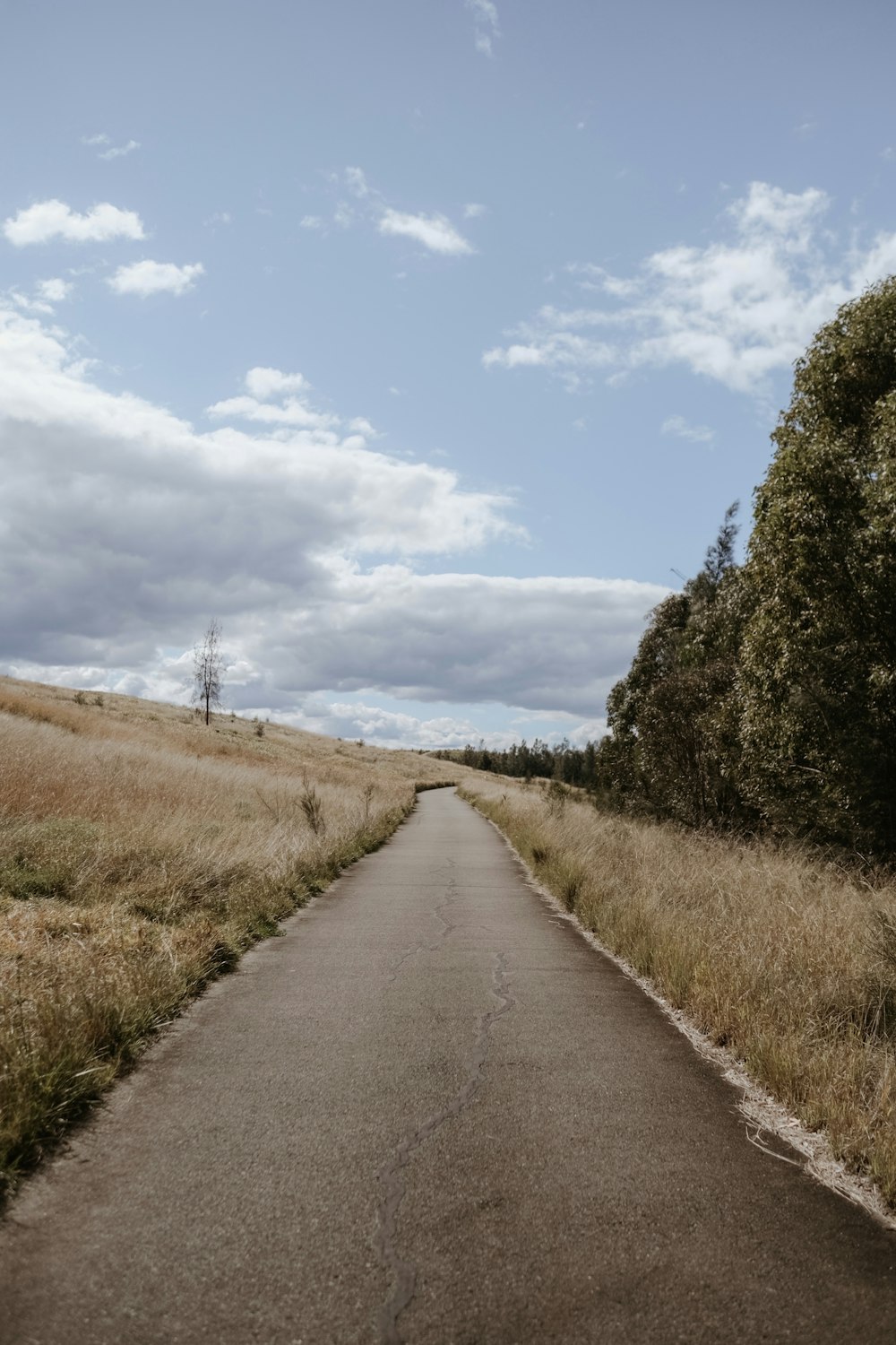 strada di cemento grigio fra il campo verde dell'erba sotto il cielo blu durante il giorno