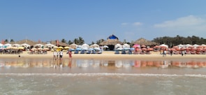 people on beach during daytime