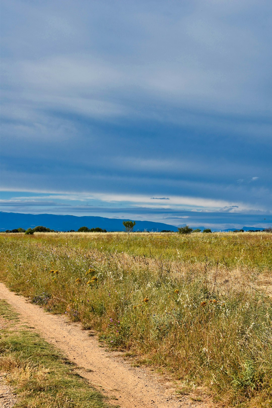 Plain photo spot Valensole Les Baux-de-Provence