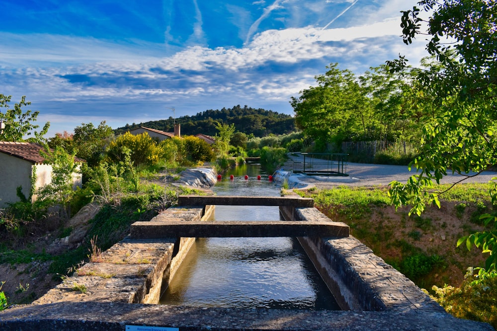 Grüne Bäume am Fluss unter blauem Himmel während des Tages