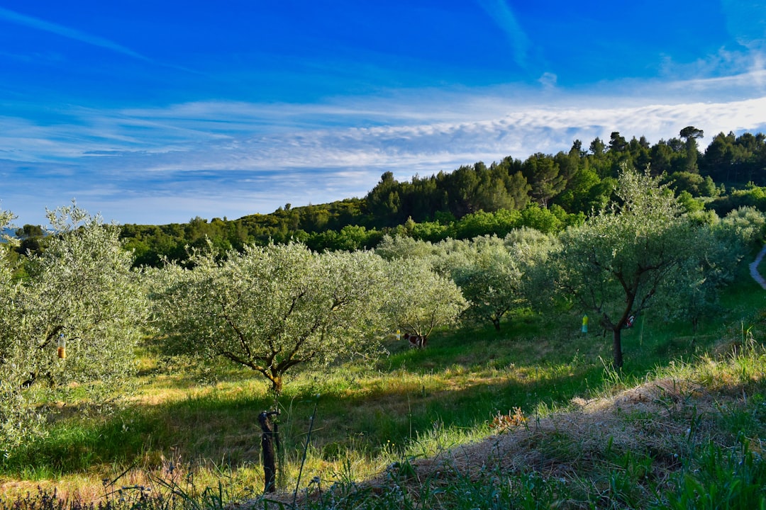 Nature reserve photo spot Volx France