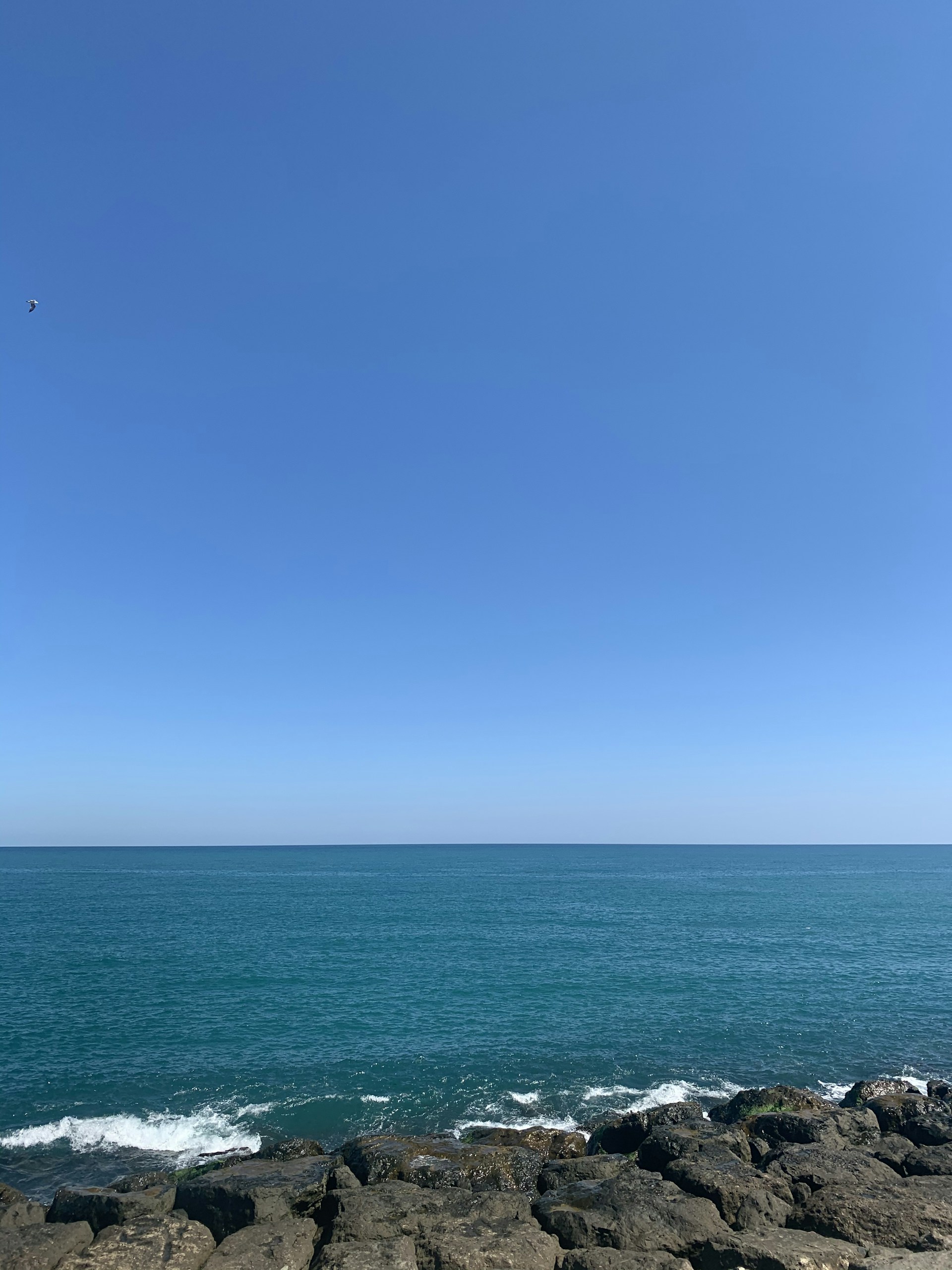 body of water under blue sky during daytime