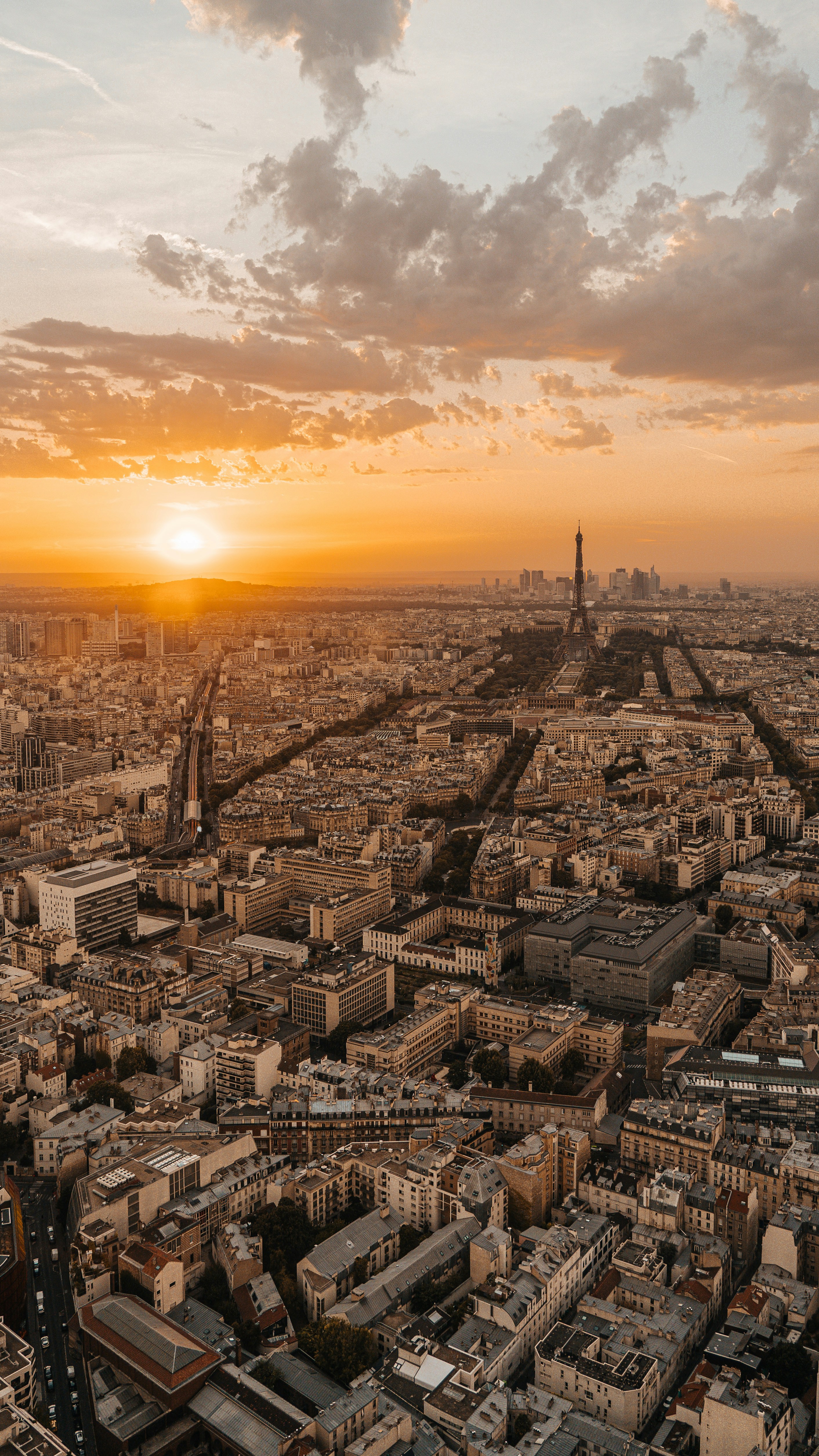 Photo by dariomuellerf