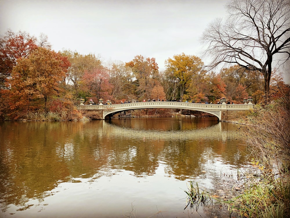 white bridge over river during daytime