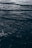 Dark ocean waves ripple over the surface, creating a textured pattern of light and shadow. The water appears deep and slightly turbulent.