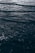 Dark ocean waves ripple over the surface, creating a textured pattern of light and shadow. The water appears deep and slightly turbulent.