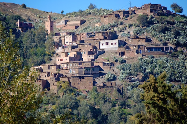 A hillside village with traditional earthen buildings surrounded by lush greenery and trees. The structures are stacked closely together, suggesting a dense community. A tall tower rises among the buildings, possibly a minaret. The landscape is natural, with a diverse mix of vegetation adding to the scenic view.