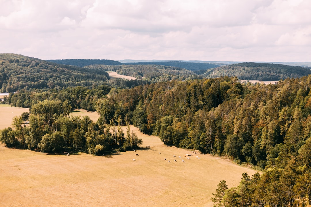 travelers stories about Hill in Han-sur-Lesse, Belgium