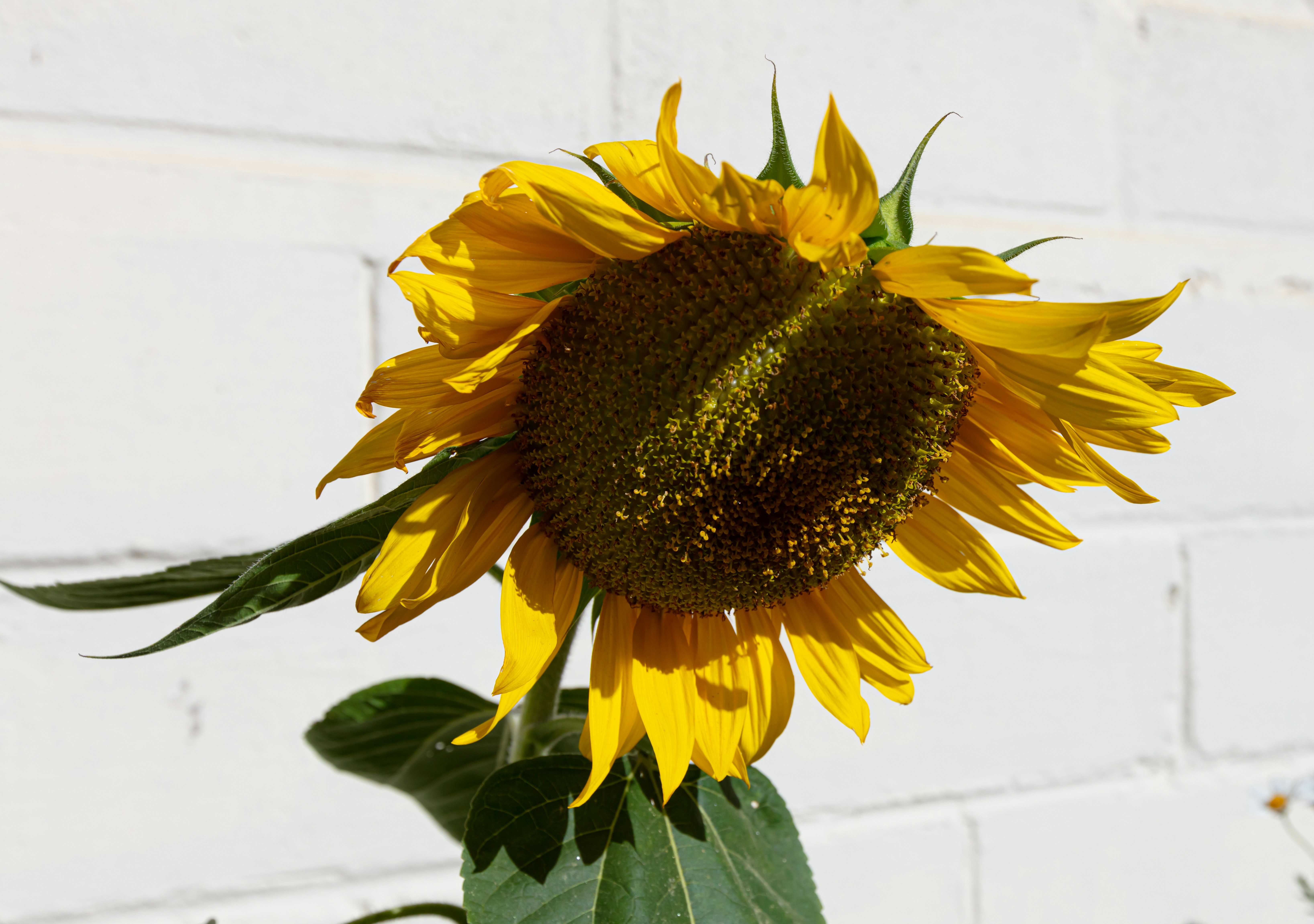 Swakopmund – Activities & Attractions