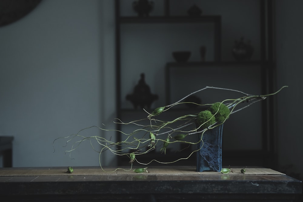 green plant on blue pot