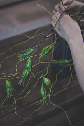 Close-up of hands carefully shaping a kokedama moss ball during a workshop
