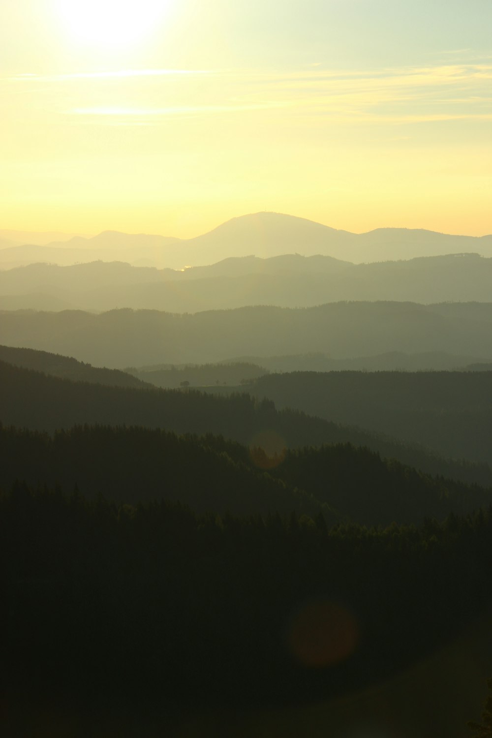 green trees on mountain during sunset