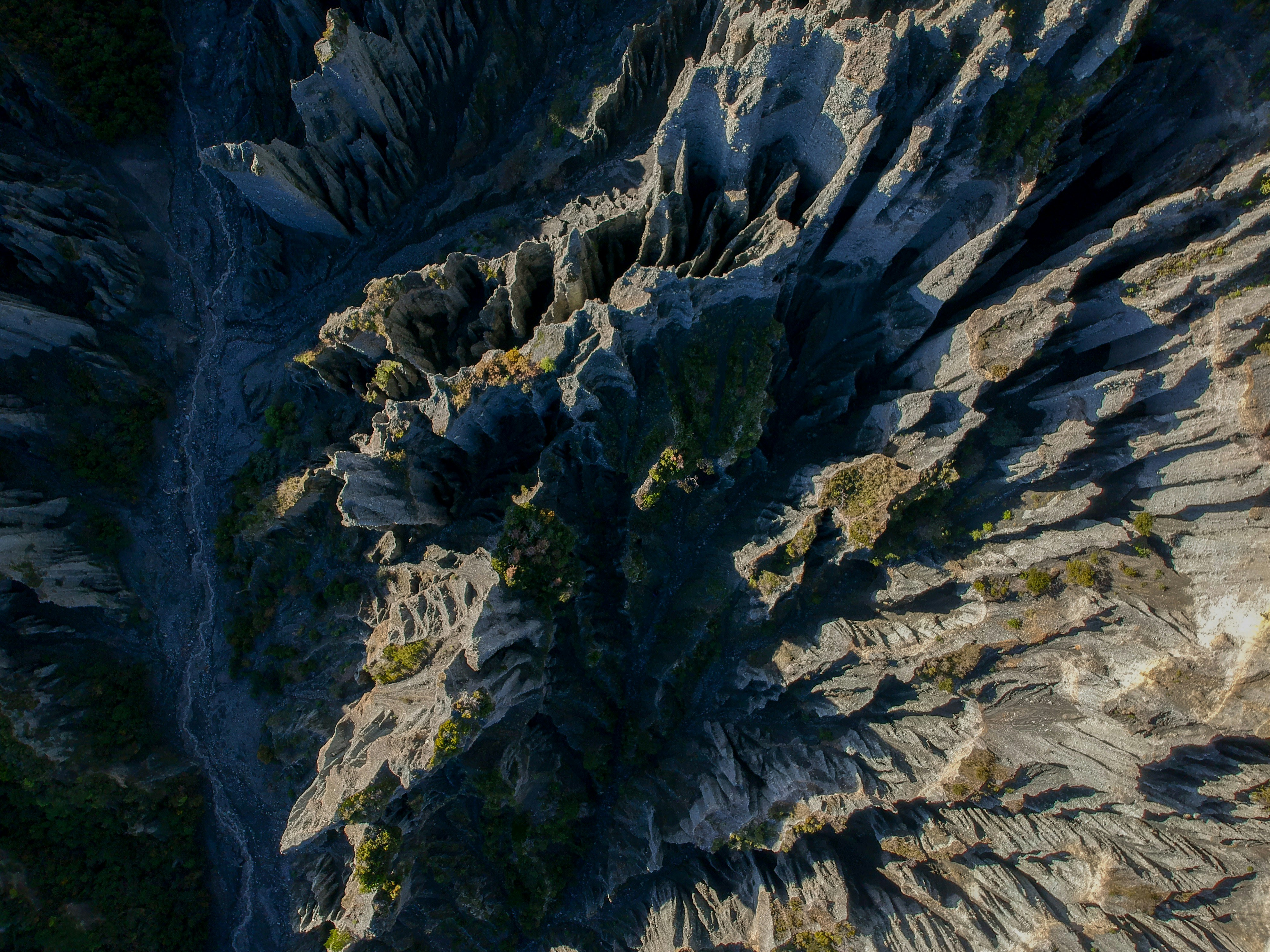 Photo by nature_photography_by_luca