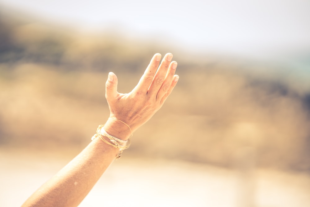 person wearing gold bracelet and gold bracelet