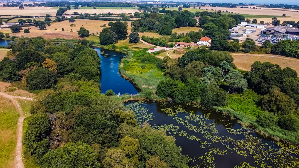 aerial view of river between green trees during daytime