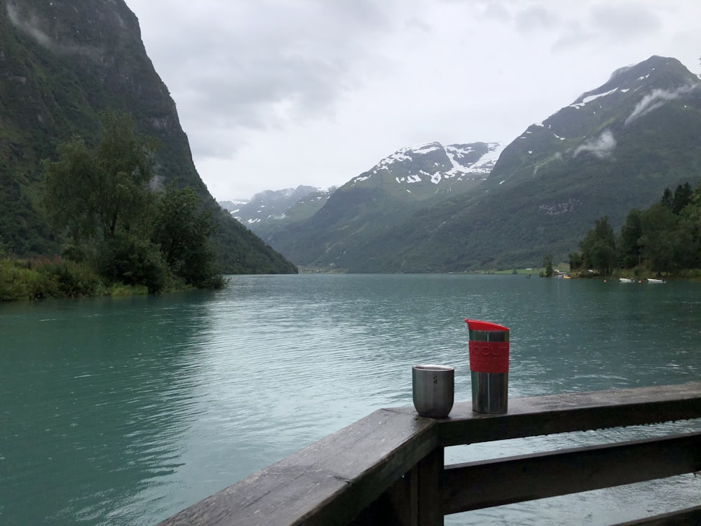 red plastic trash bin beside brown wooden fence near lake during daytime