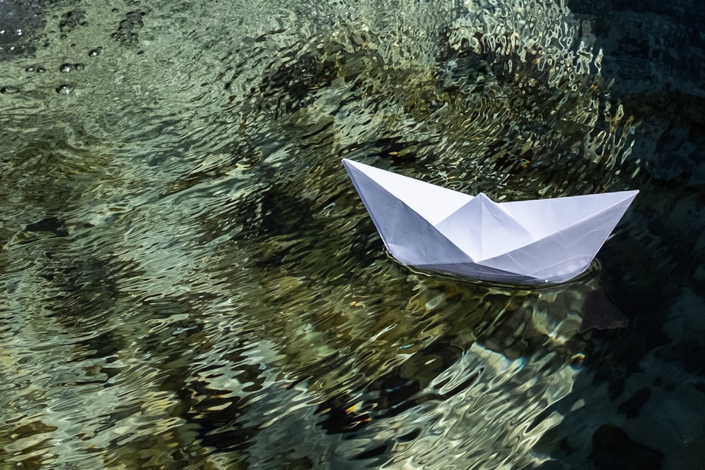 white umbrella on body of water