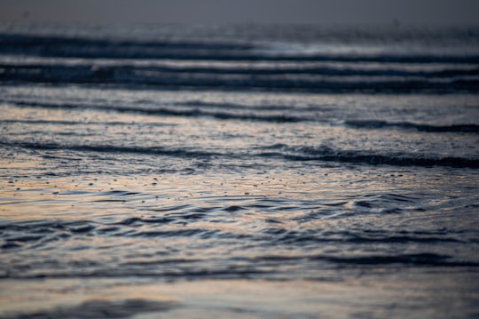 body of water during daytime in Dunkirk France