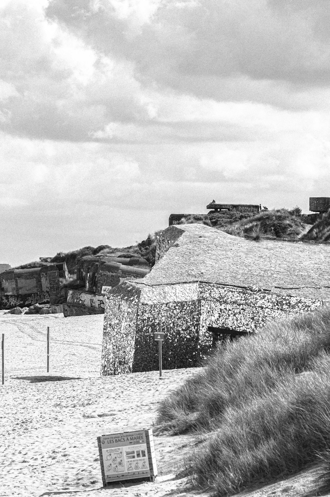 grayscale photo of houses near body of water