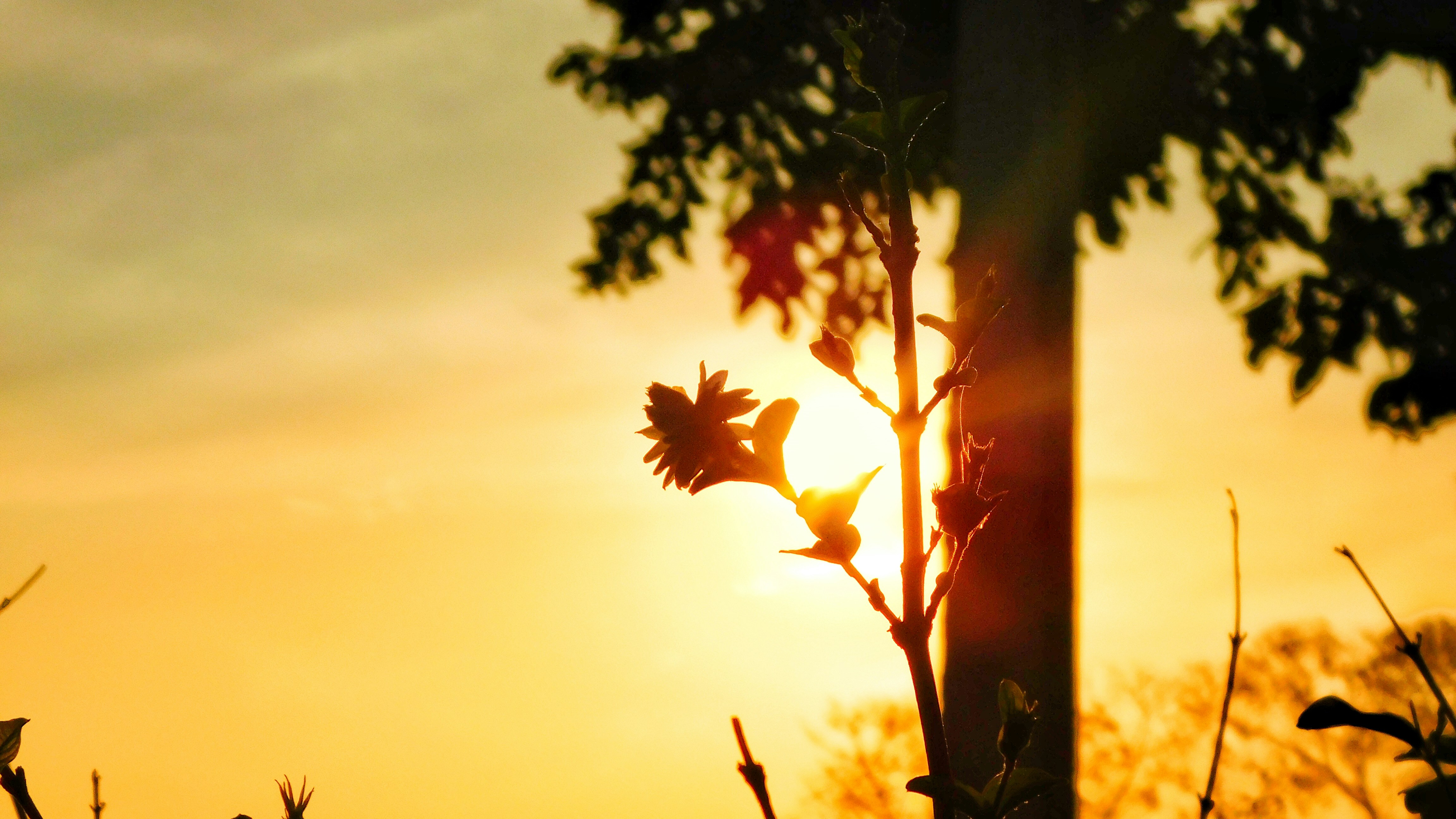 Photo by venthan05_photohouse