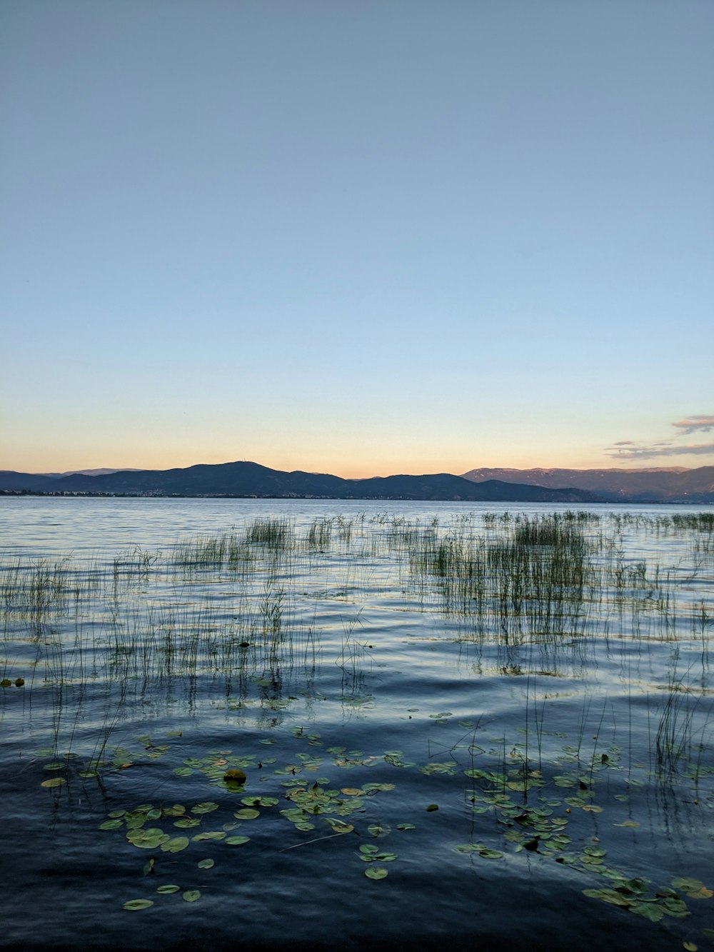 body of water under blue sky during daytime