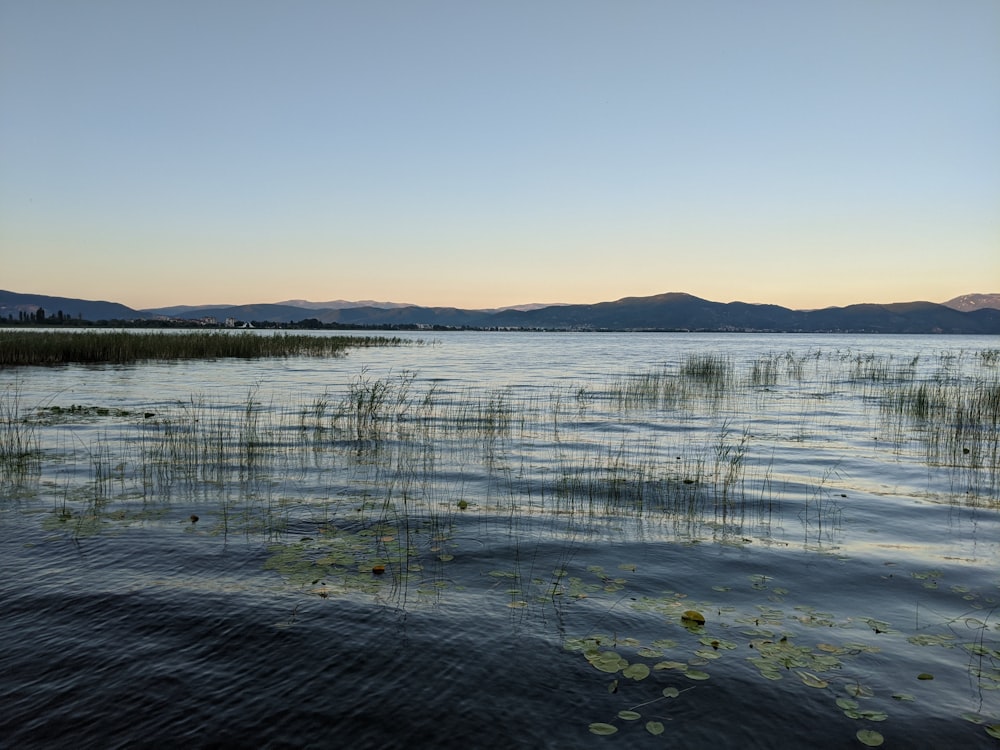 body of water under blue sky during daytime