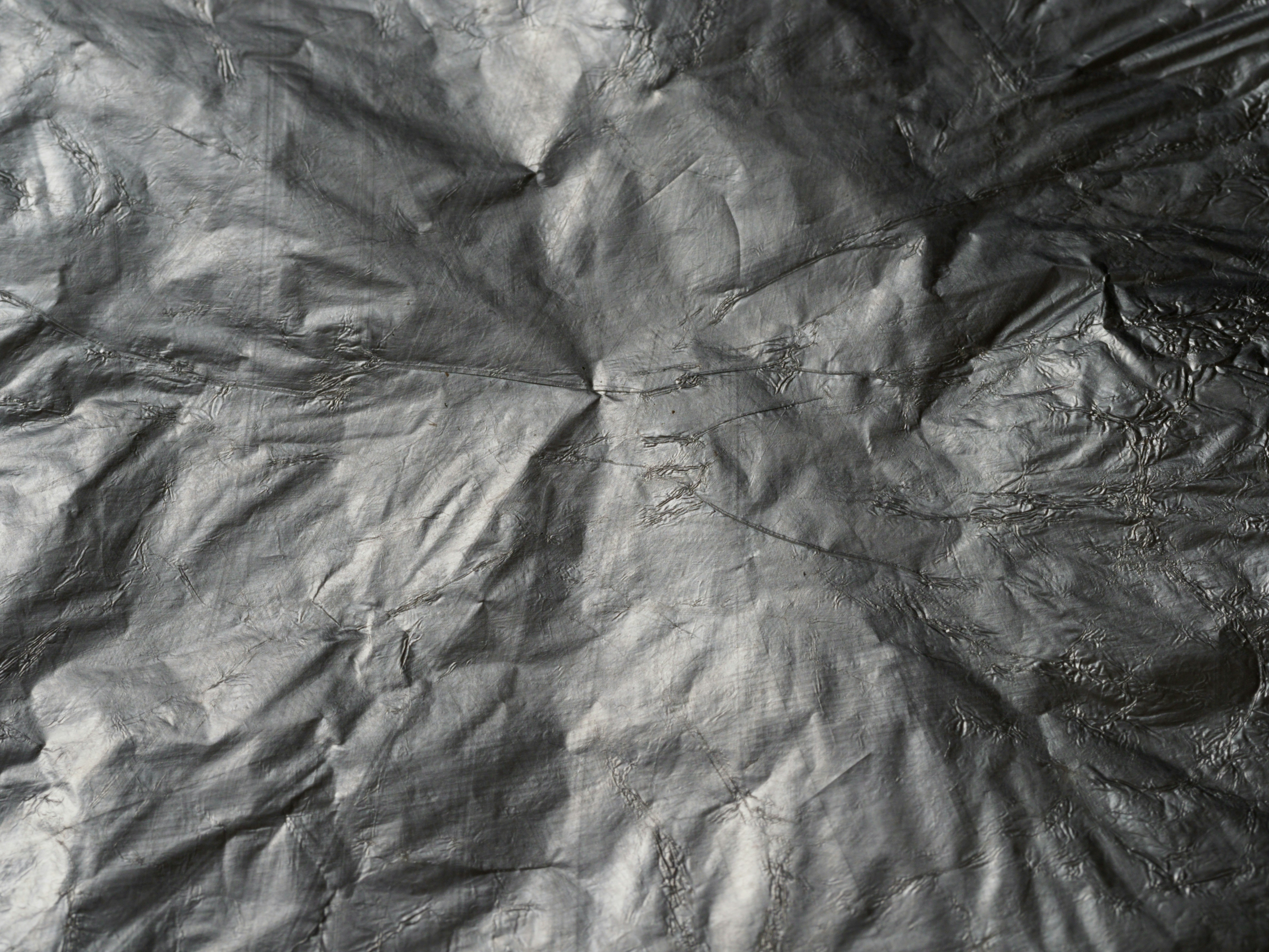 How Your Immune System Remembers: The Library of Past Invasions