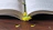 An open book of poetry with delicate flowers scattered around it on a wooden table.