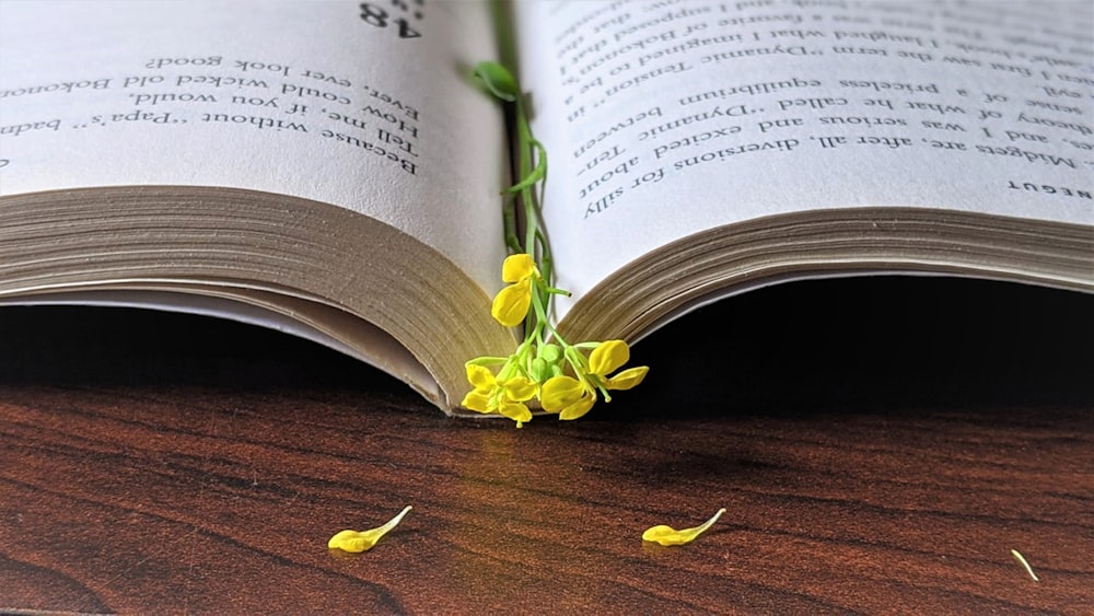 yellow flower on book page