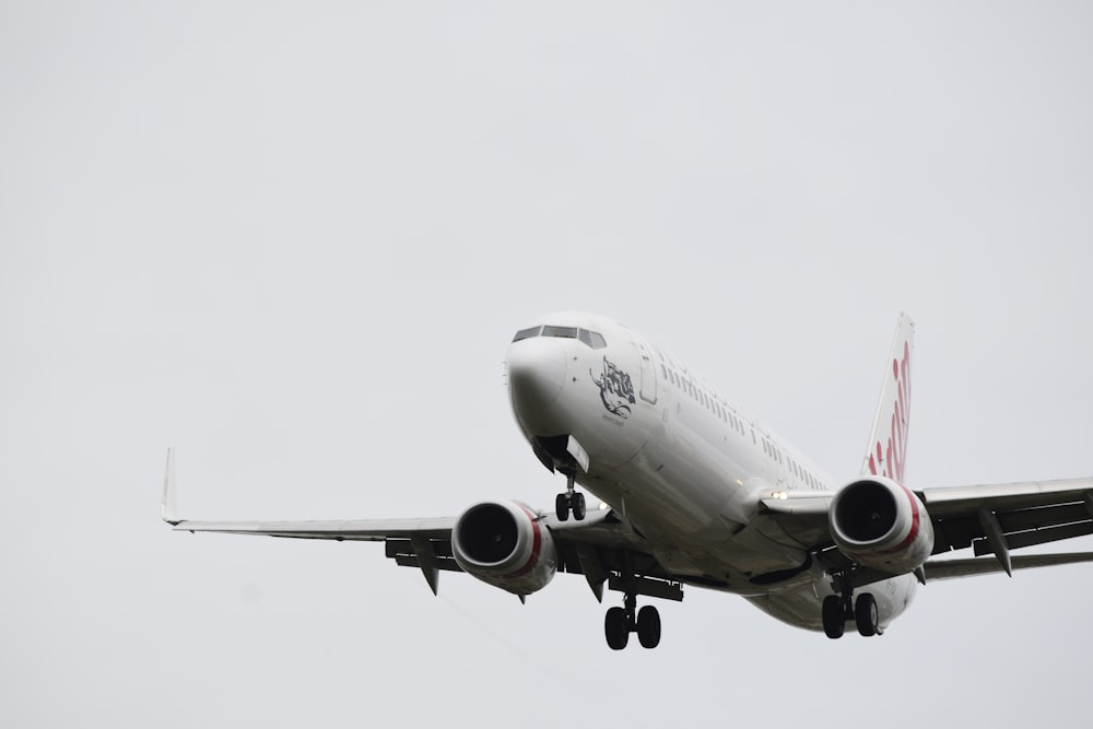 white and red airplane under white sky during daytime