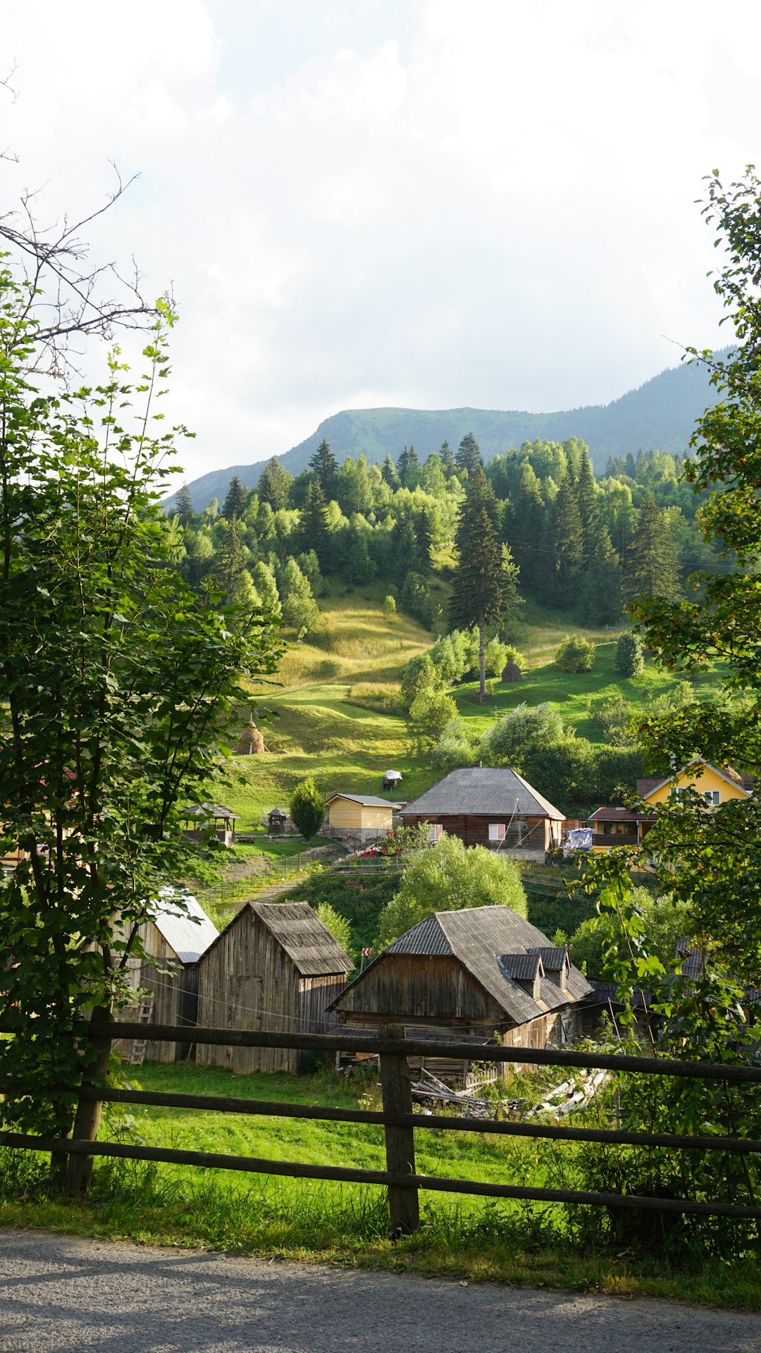 Hill station photo spot MaramureÅŸ Dragomiresti