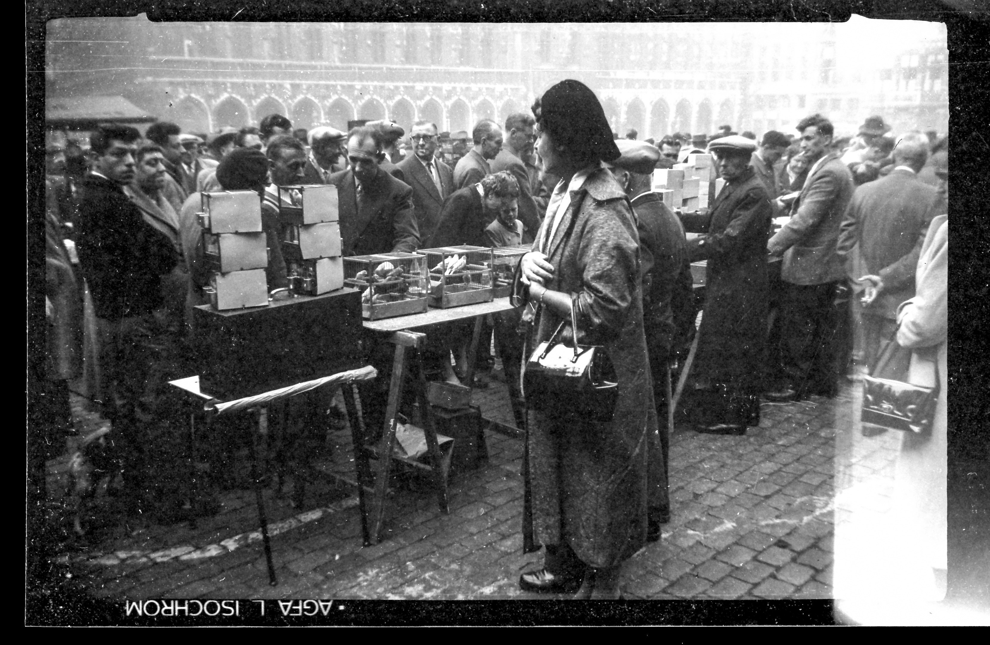 Photo by carrier_lost