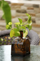 Close-up of green botanical leaves gently resting beside a glass apothecary bottle on a sunlit bathroom shelf.