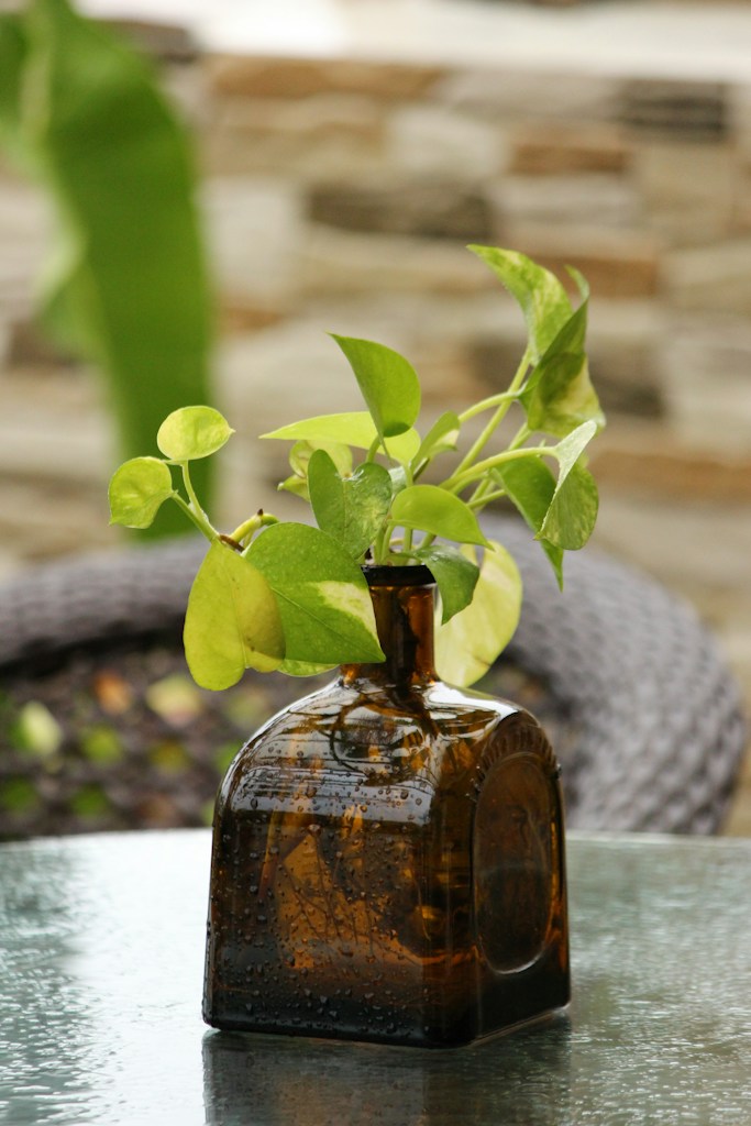 Even Tone Serum
