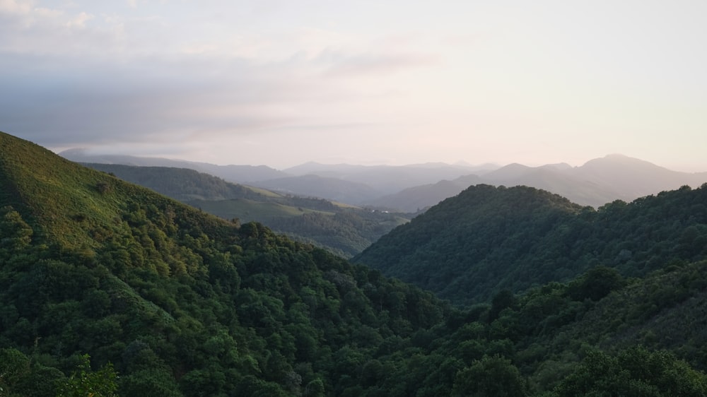 green mountains under white sky during daytime