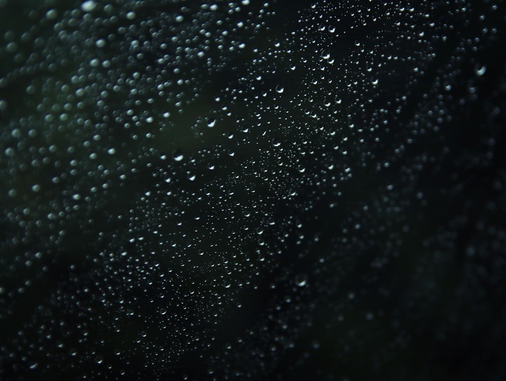water droplets on black textile