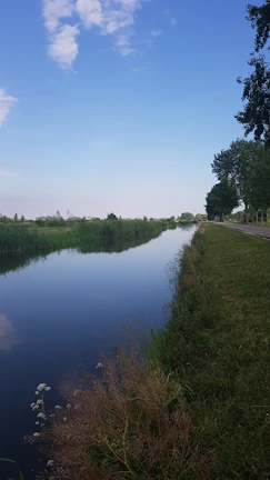 A peaceful nature trail by a flowing river, reflecting the concept of 'lebensfluss' and inner balance.