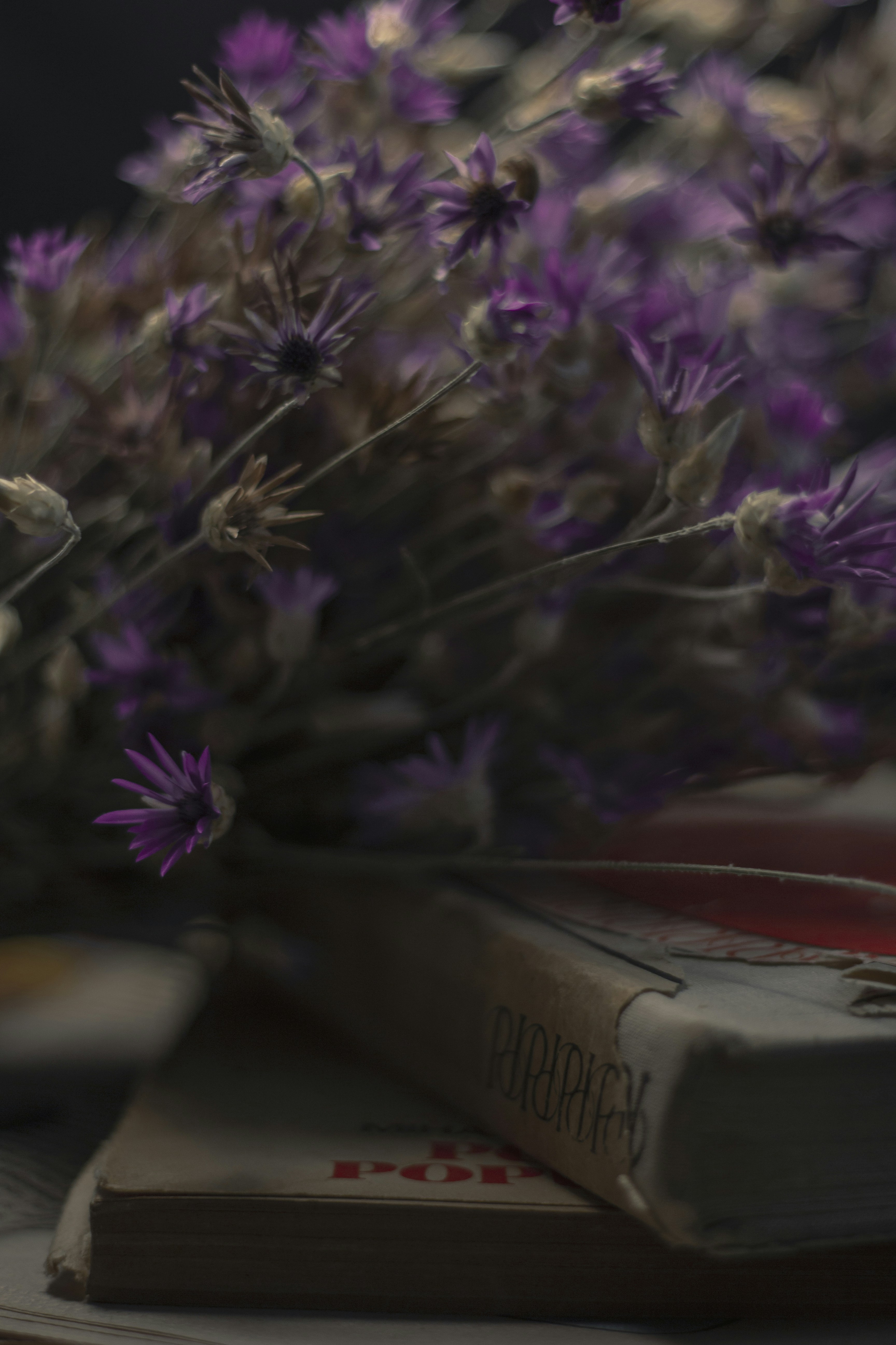 purple flowers on white plastic container