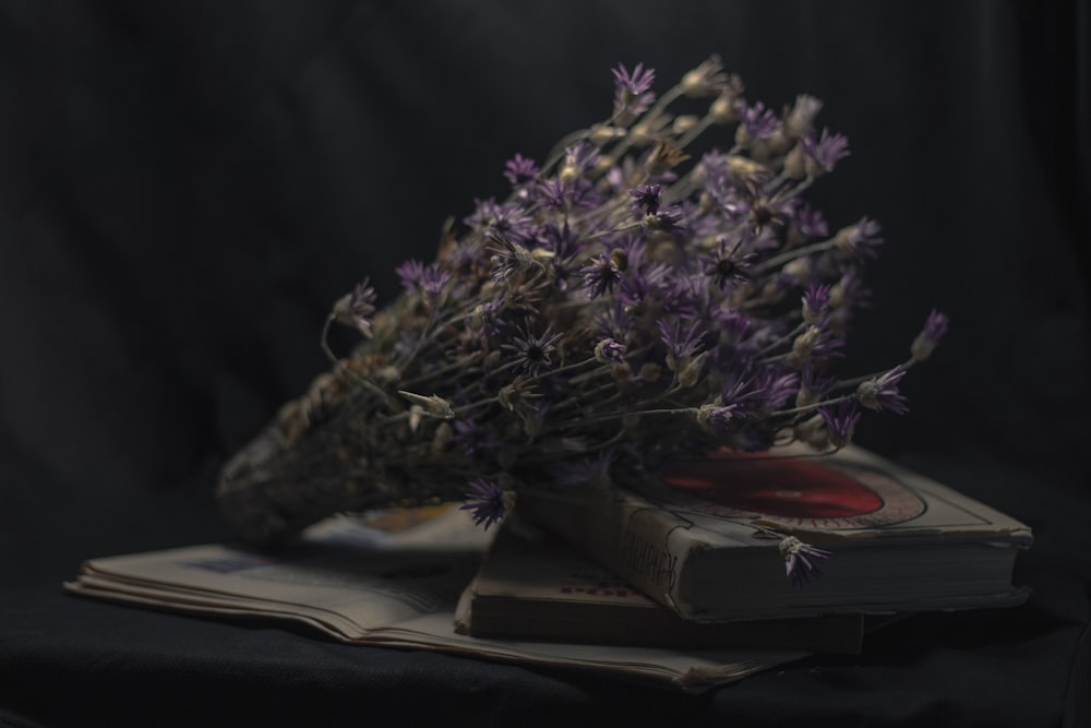 purple flowers on book page