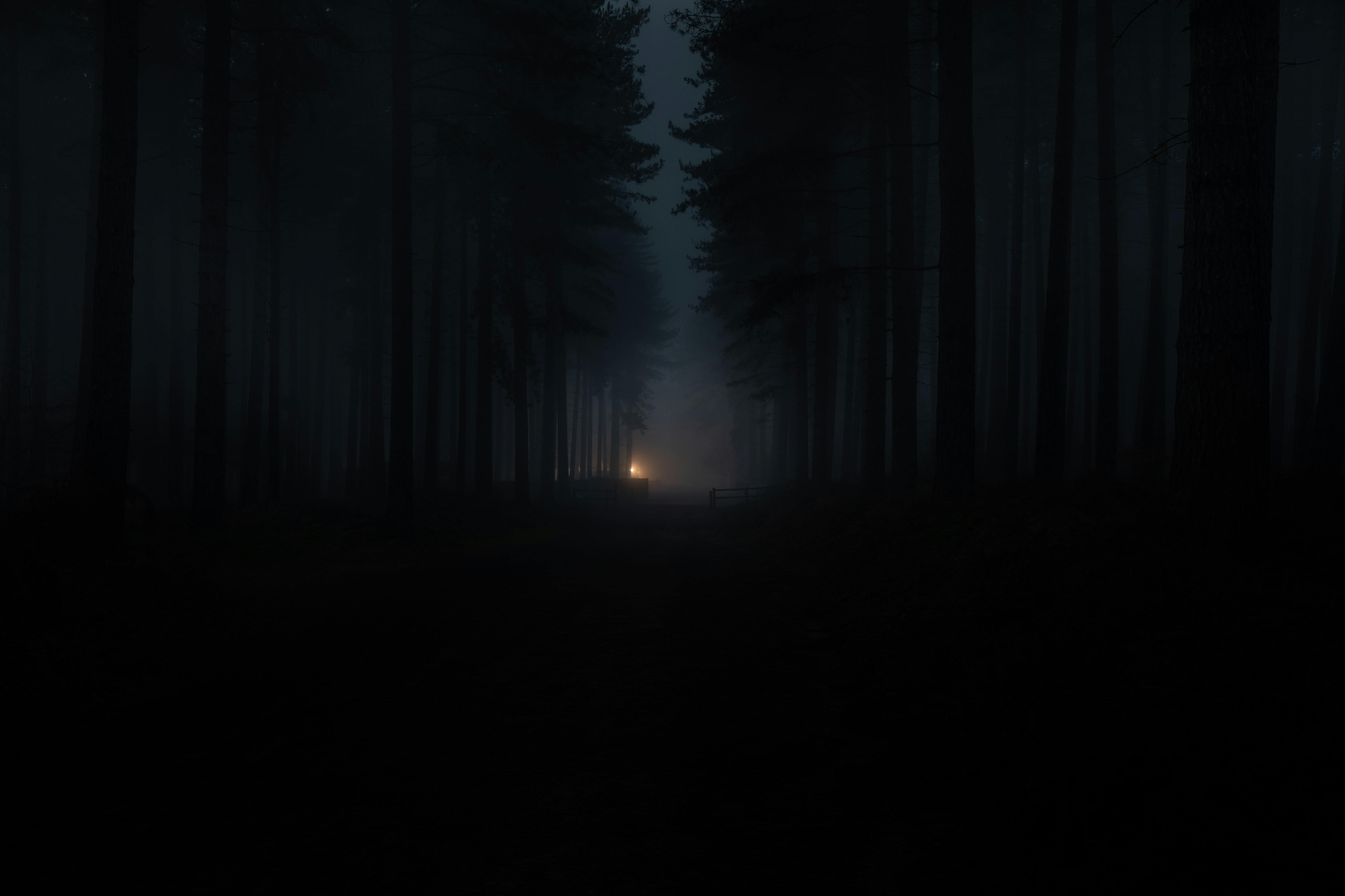 When the Ritual Becomes Real: The Deadly Price of America's Midnight Challenge Culture