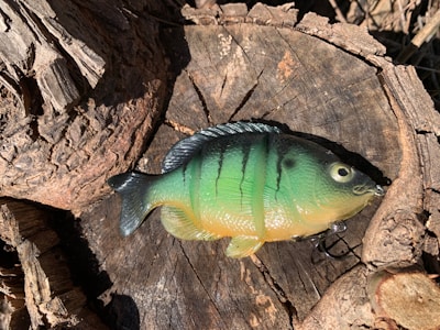 A green and yellow fish-shaped lure with dark stripes is positioned on a rough tree stump. The scene is bathed in sunlight, casting shadows on the textured wood surface.