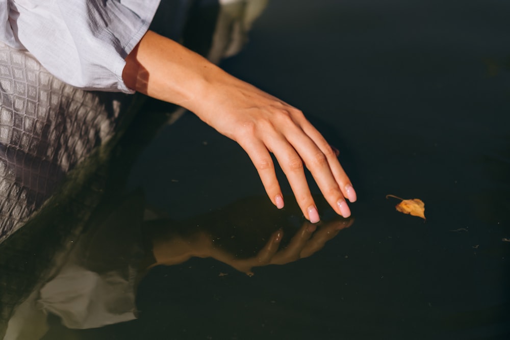 Person im weißen Hemd mit braunem getrocknetem Blatt in der Hand