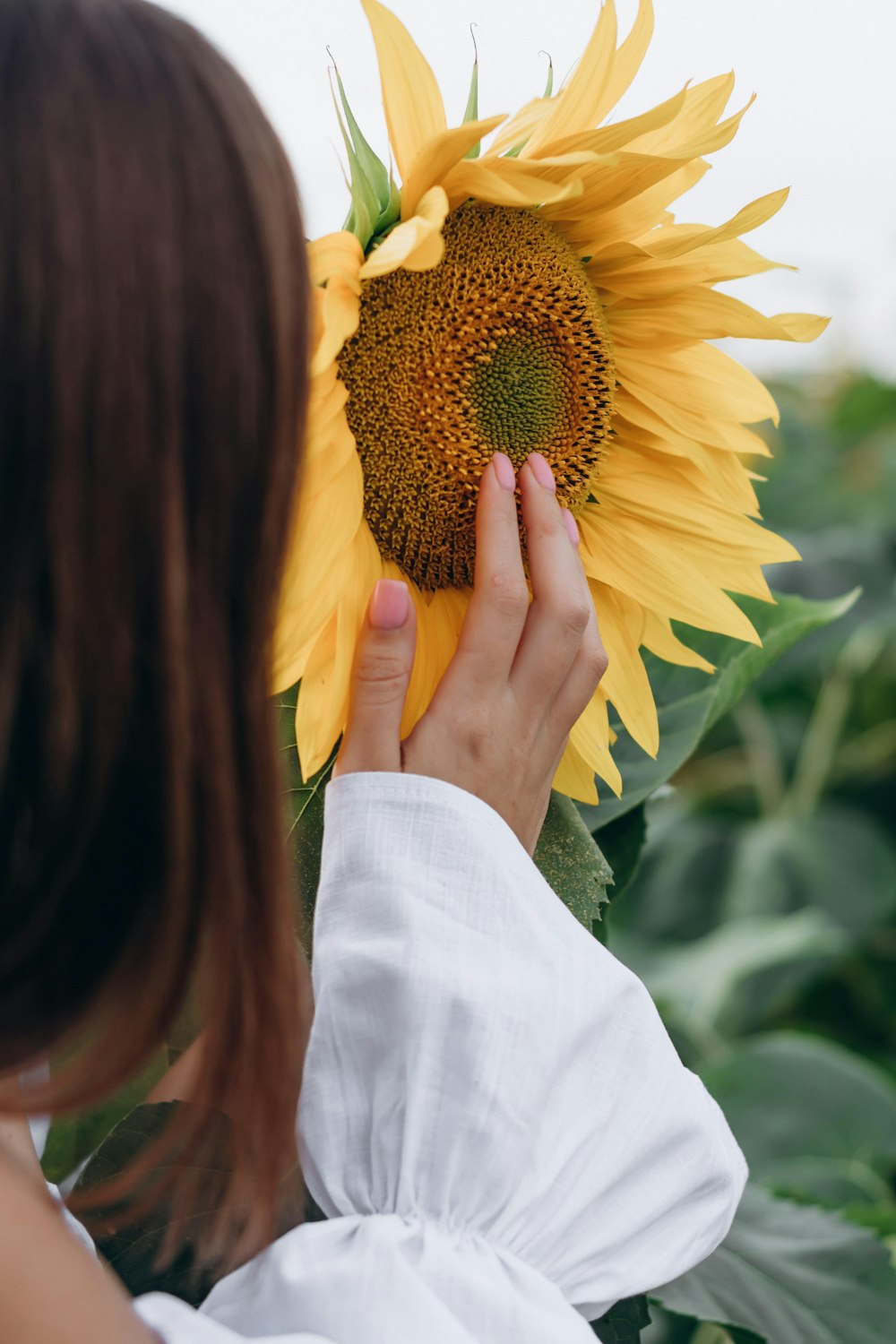 woman in white long sleeve shirt holding sunflower