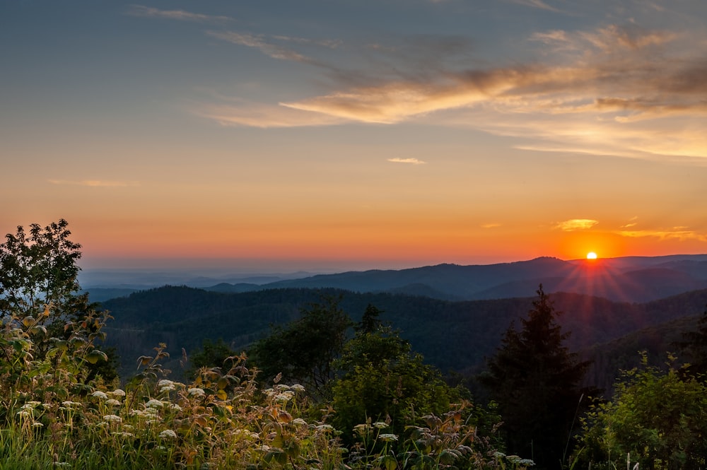 green trees and mountains during sunset