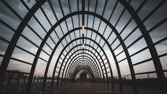people walking on a tunnel