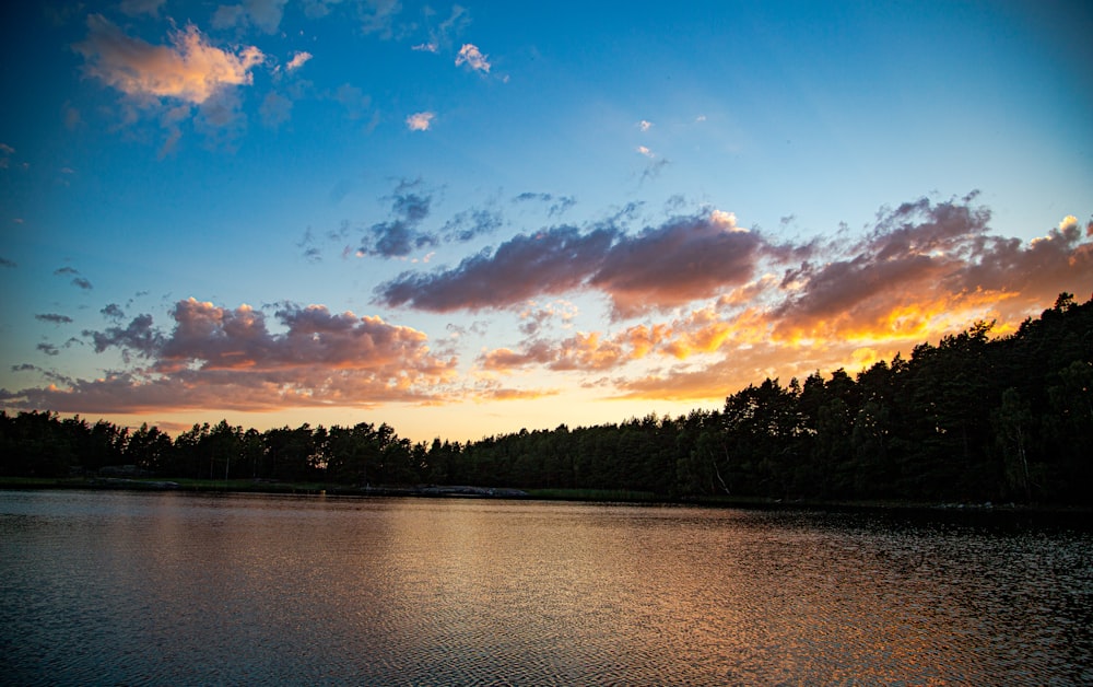 body of water near trees under blue sky during daytime