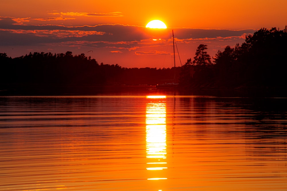 silhouette of trees during sunset