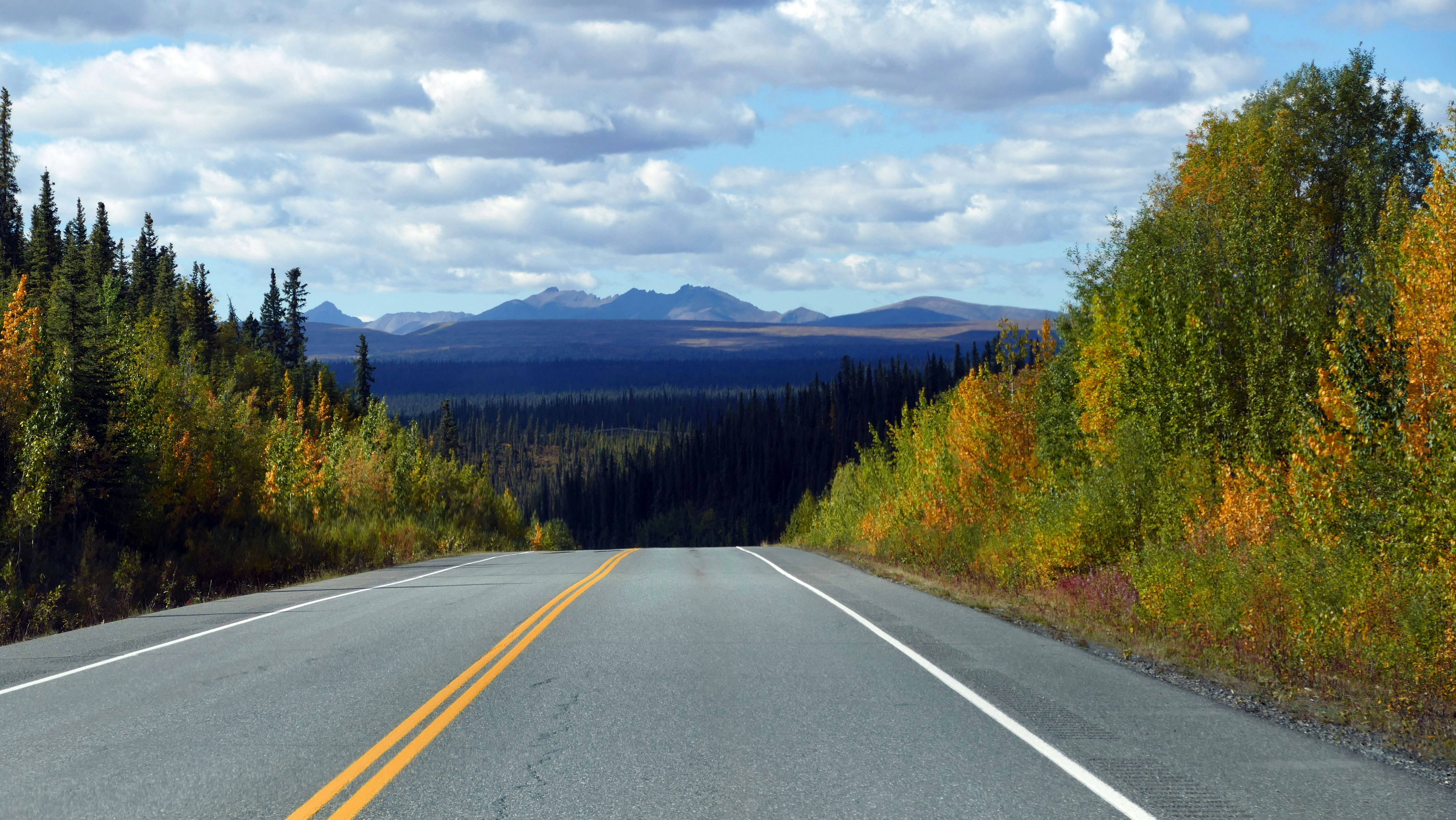 Driving into the wild