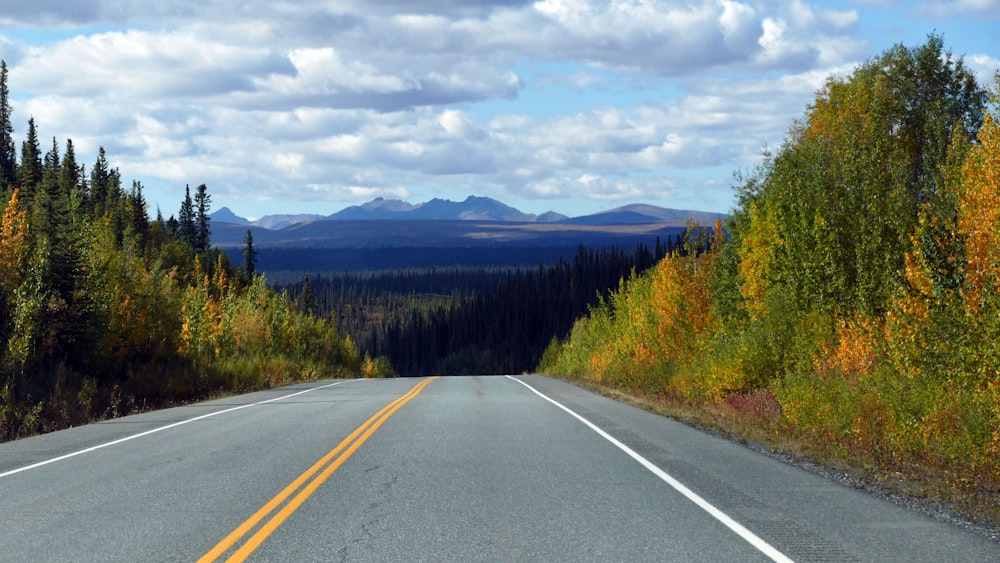 gray concrete road between green trees under white clouds and blue sky during daytime